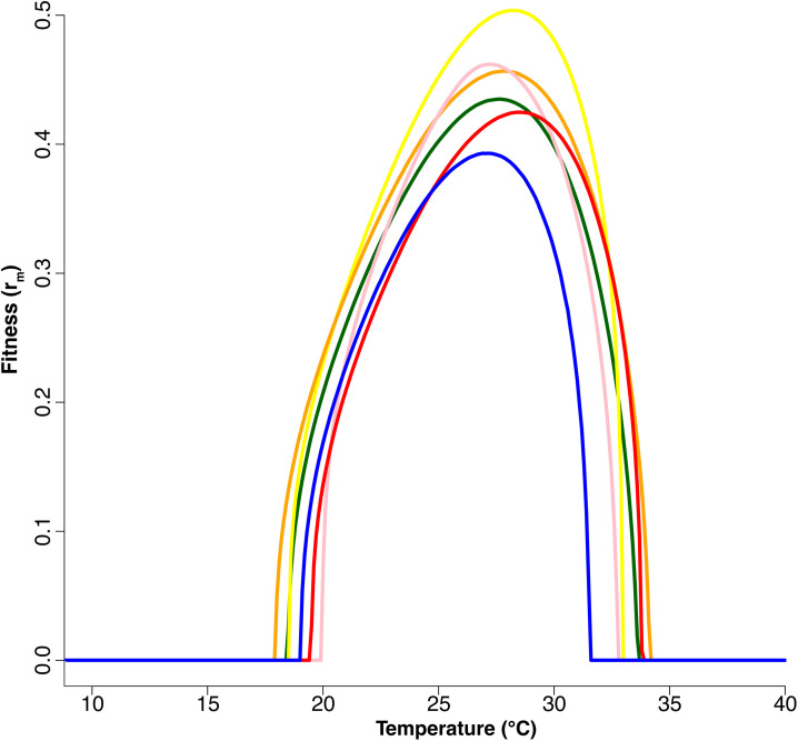 Fig 2