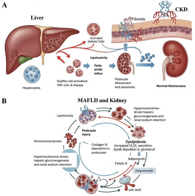 Fig 6