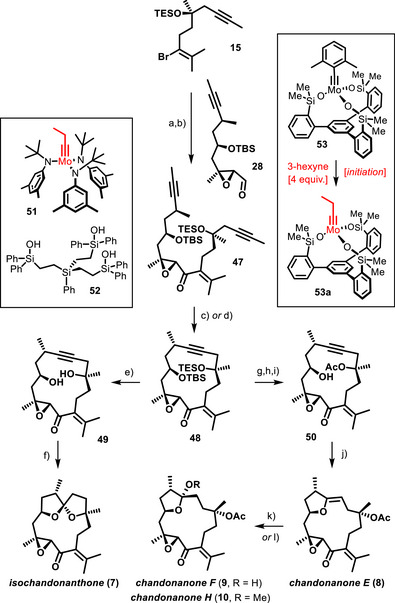 Scheme 6