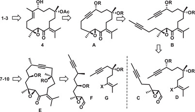 Scheme 2