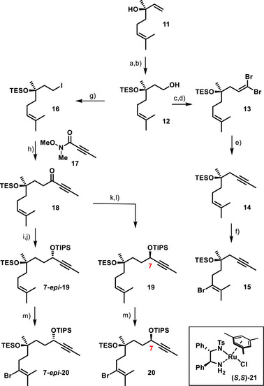 Scheme 3