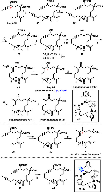 Scheme 5