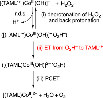 Scheme 3