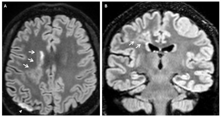 Figure 7