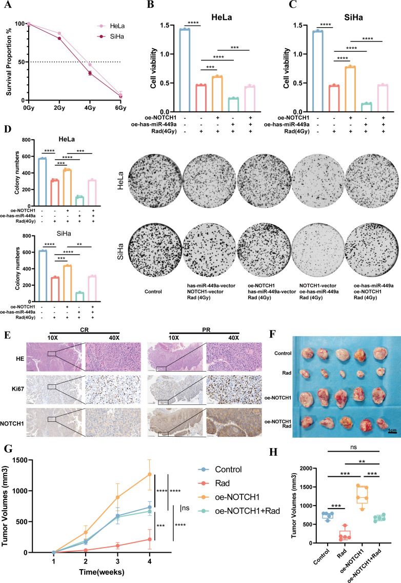 Figure 6