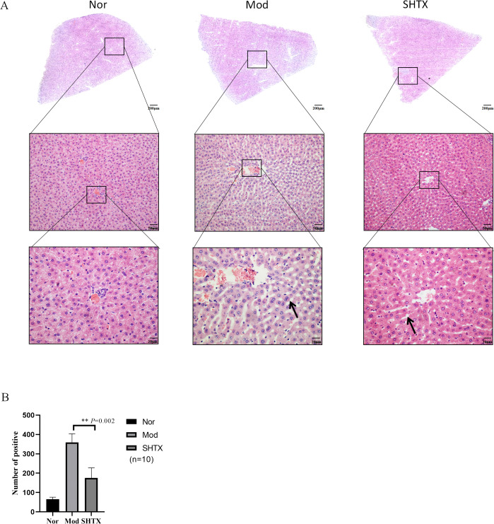Figure 3