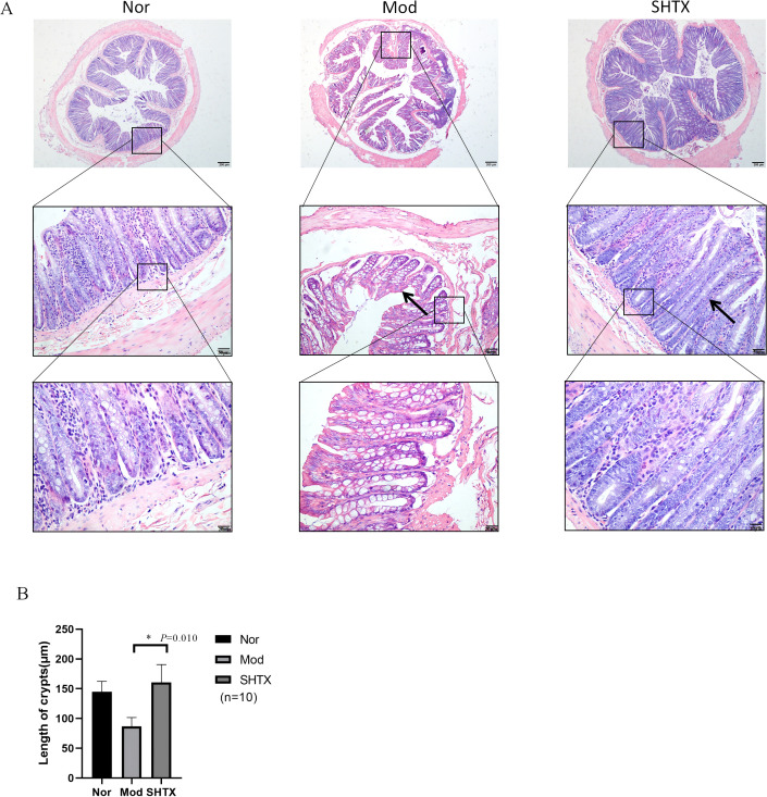 Figure 4