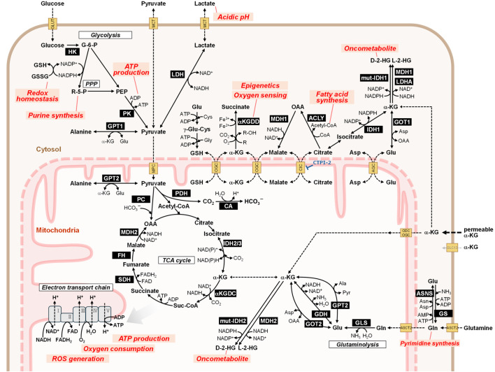 Figure 1