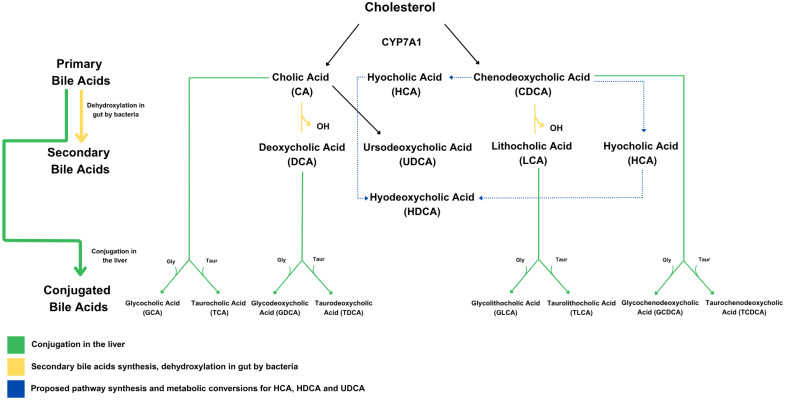 Figure 1