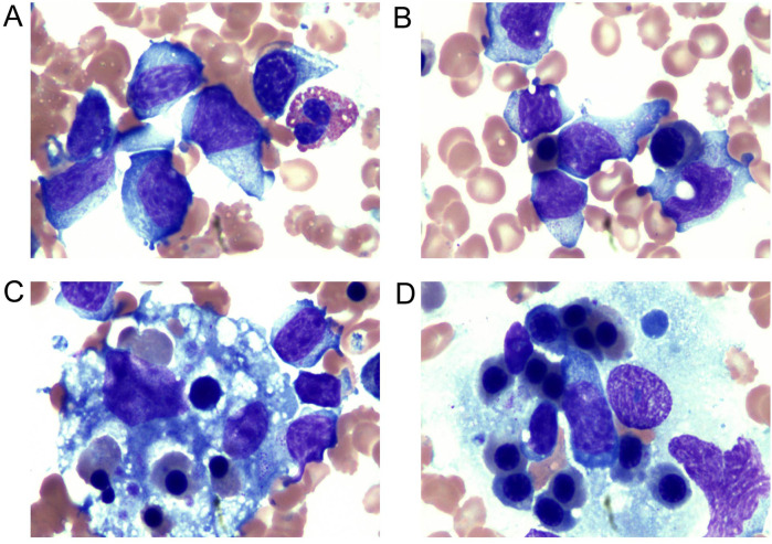 Figure 2