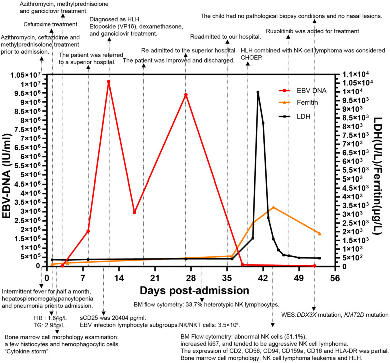 Figure 3