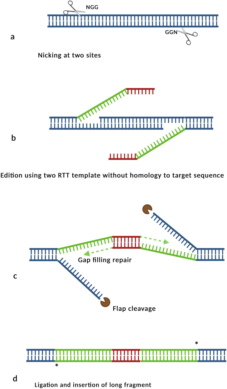 FIGURE 4