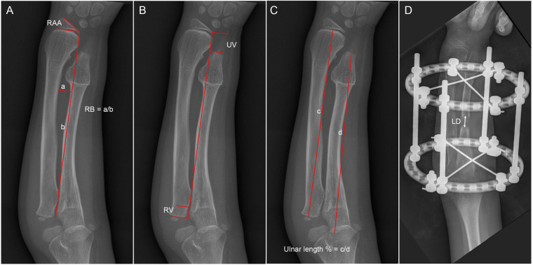 Figure 1