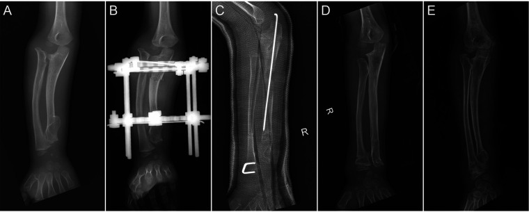 Figure 3