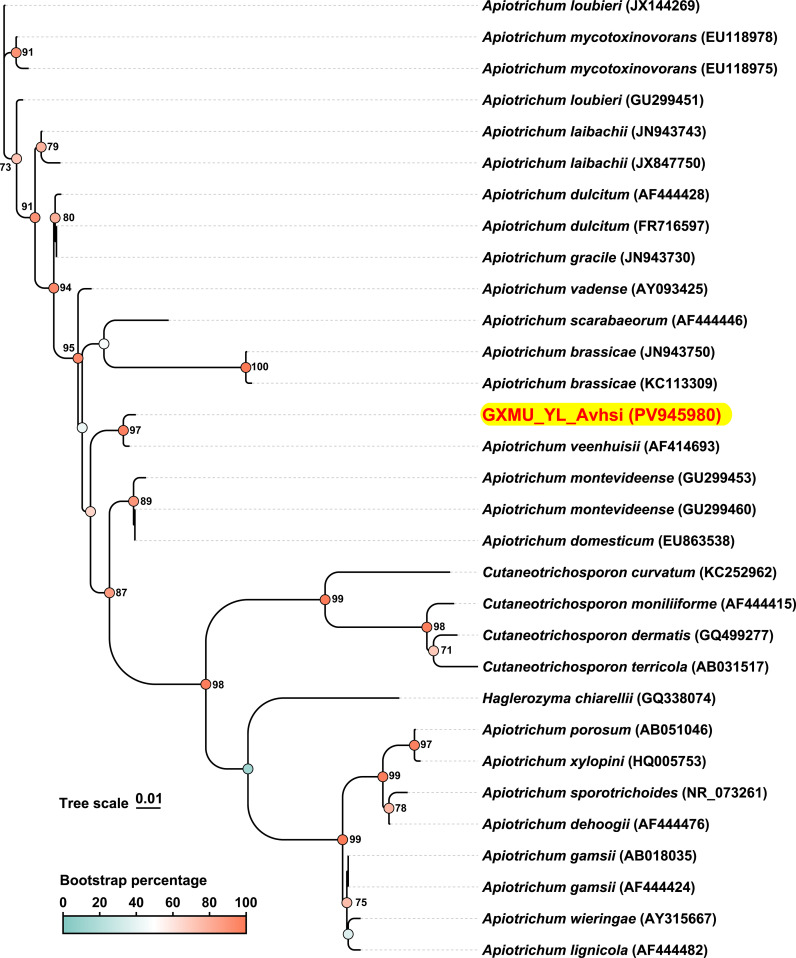 Figure 3
