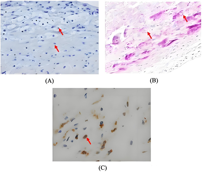 Figure 3