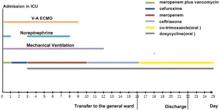 Figure 4
