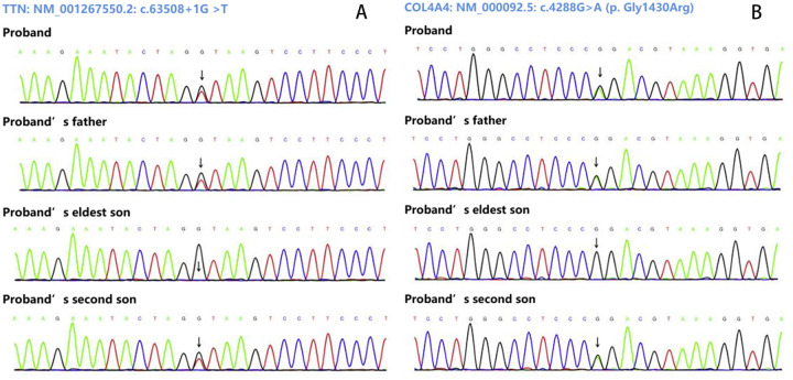 Figure 3
