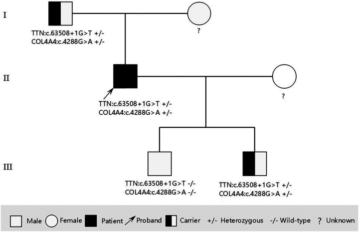 Figure 4