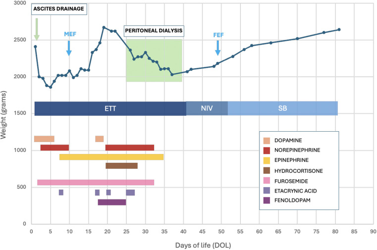 Figure 1