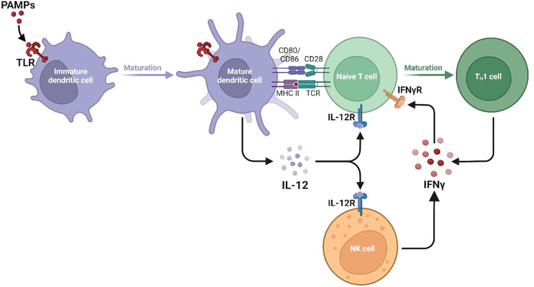 Figure 1