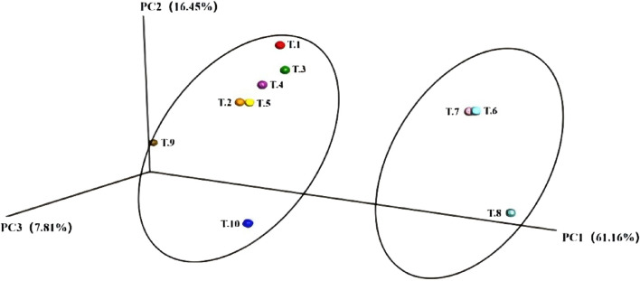FIGURE 11