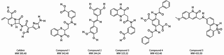 Figure 2