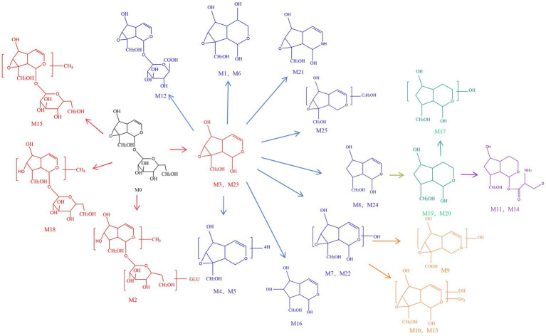Figure 6