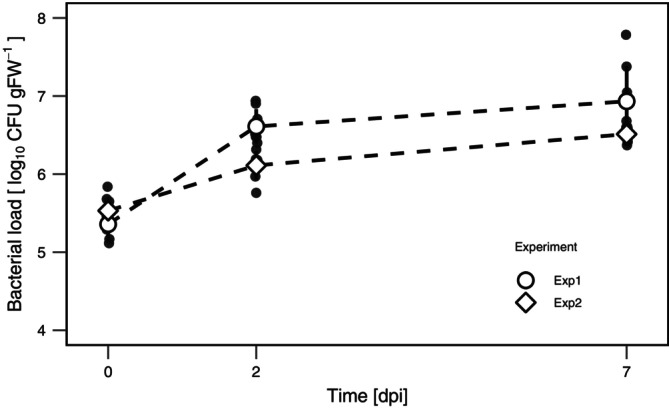 FIGURE 3