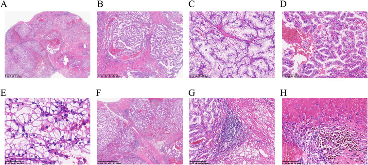 Figure 2