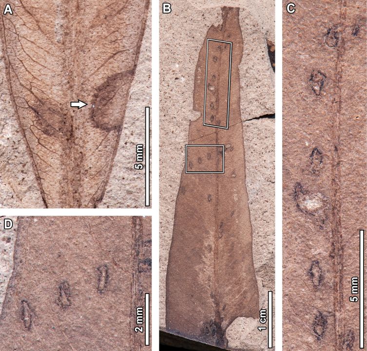 Figure 17