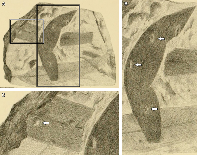 Figure 18