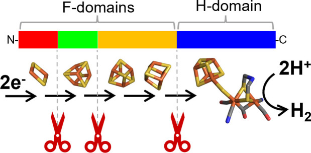 Figure 7