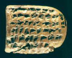 Figure 28