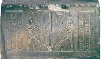 Figure 31