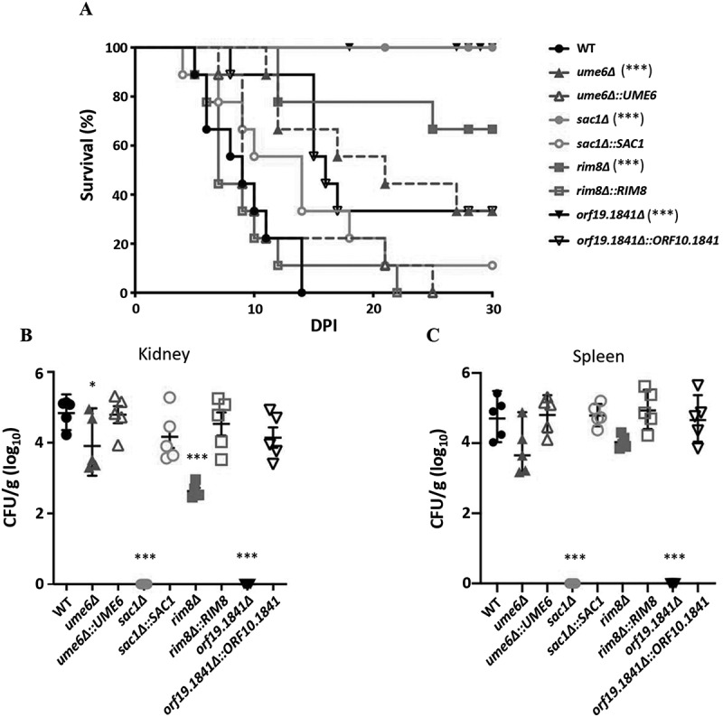 Figure 16