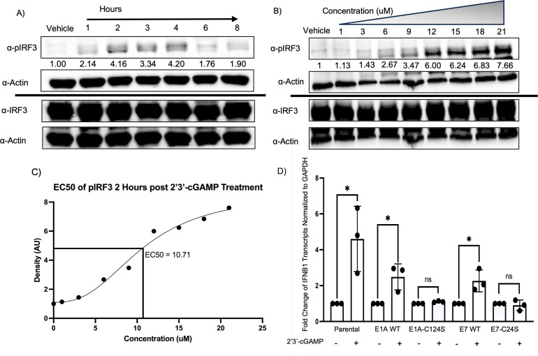 Figure 2