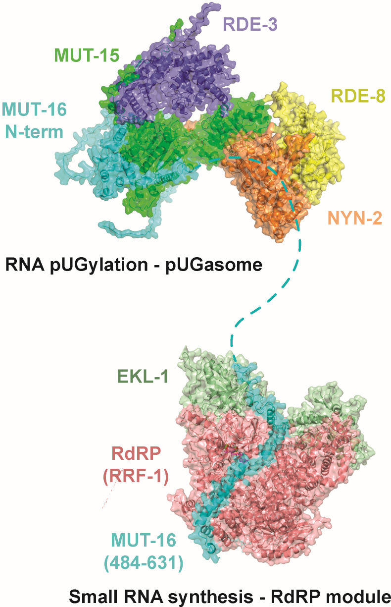 Figure 7