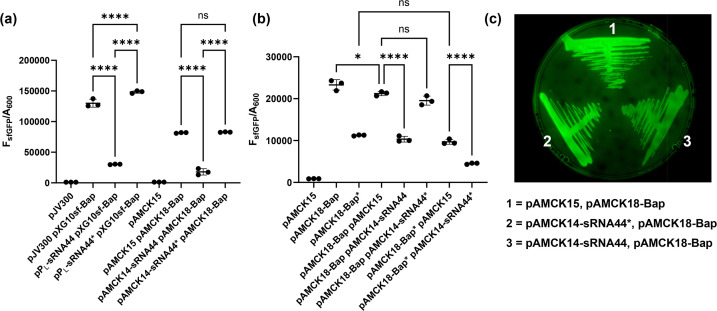 Figure 5