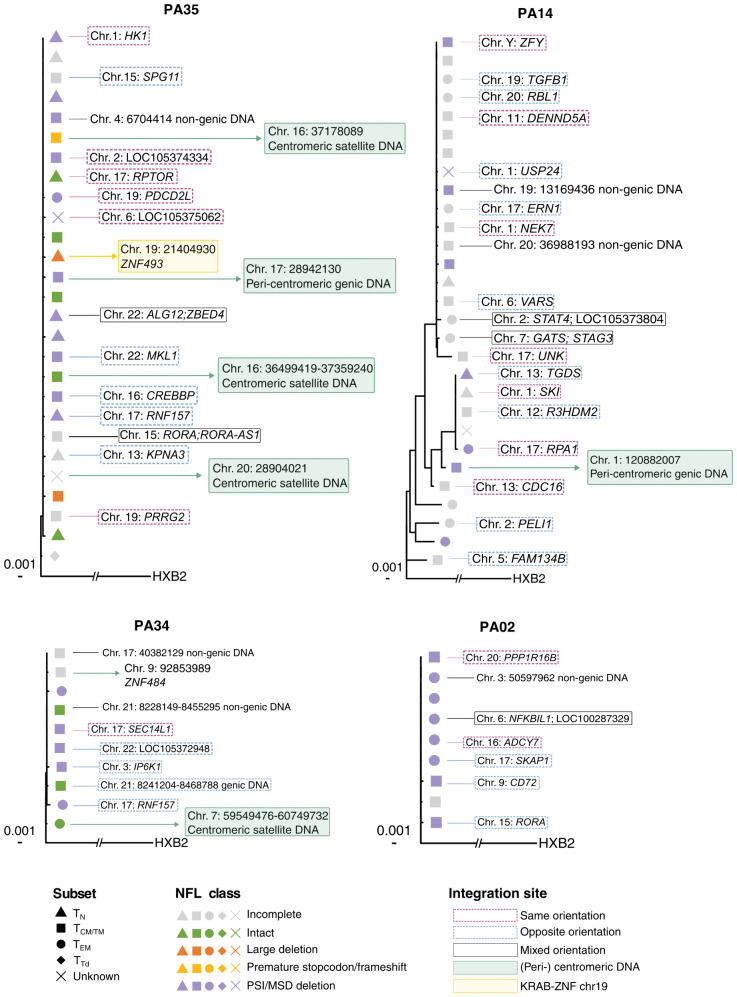 Figure 13