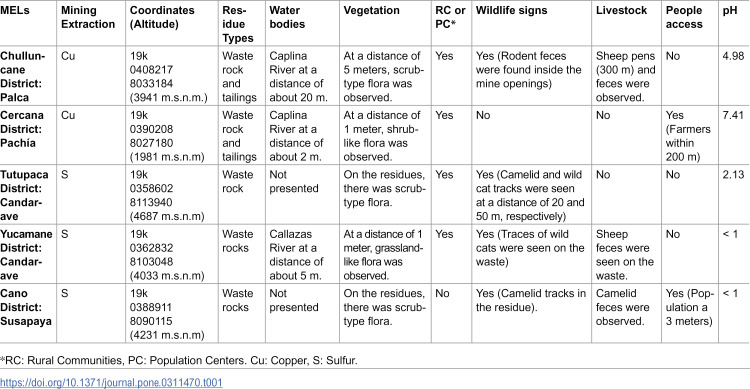 Figure 19