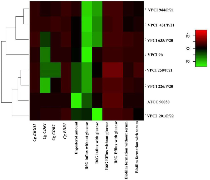 Figure 6