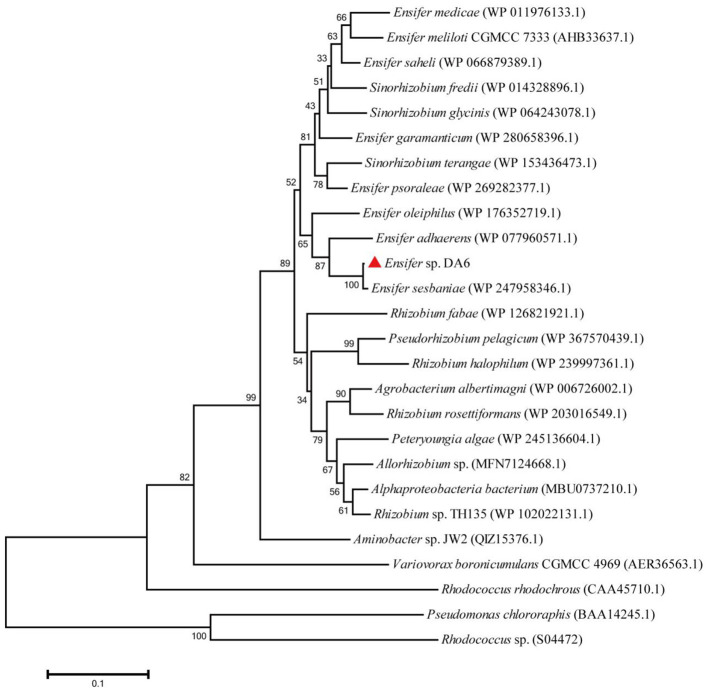 Figure 4