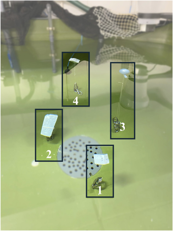 Figure 2