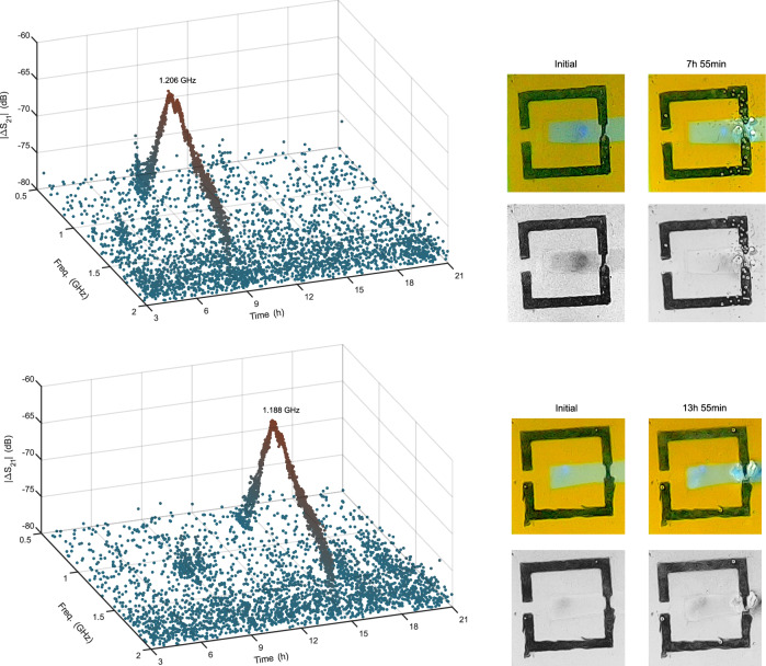 Figure 10