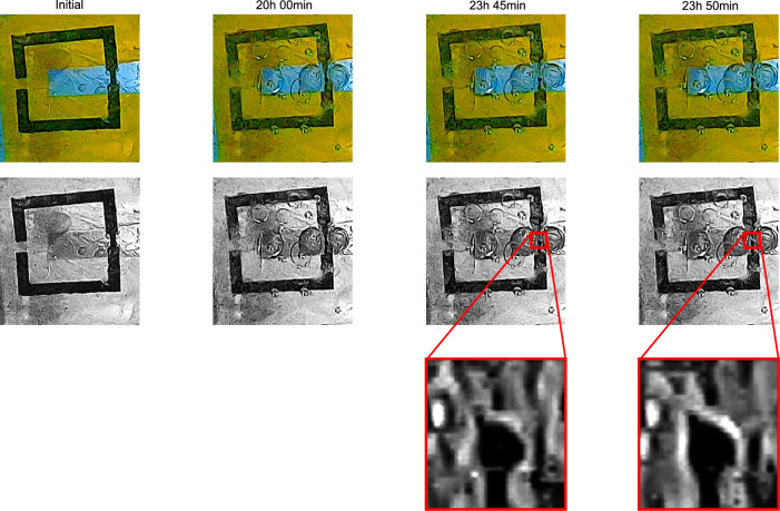Figure 7