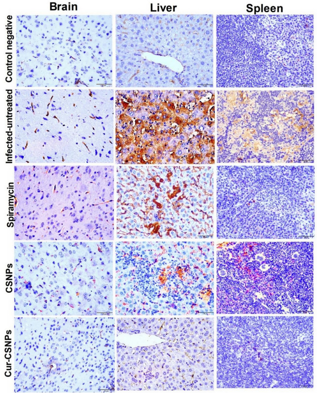 Figure 12