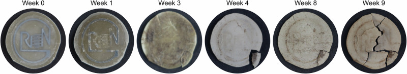 Figure 5