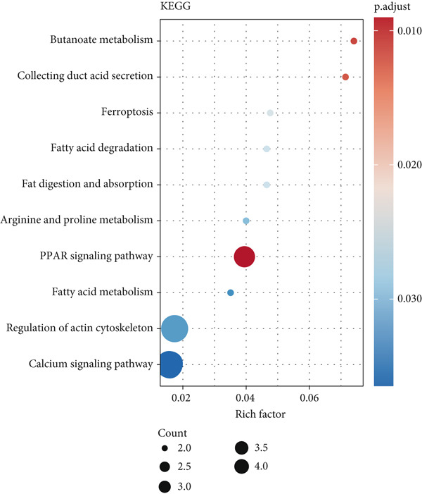 Figure 11