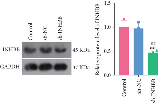 Figure 19